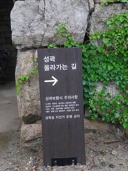 P1080629.jpg