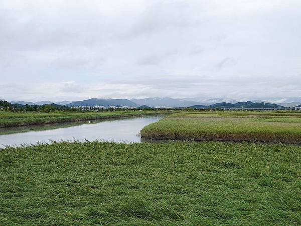 P1080685.jpg