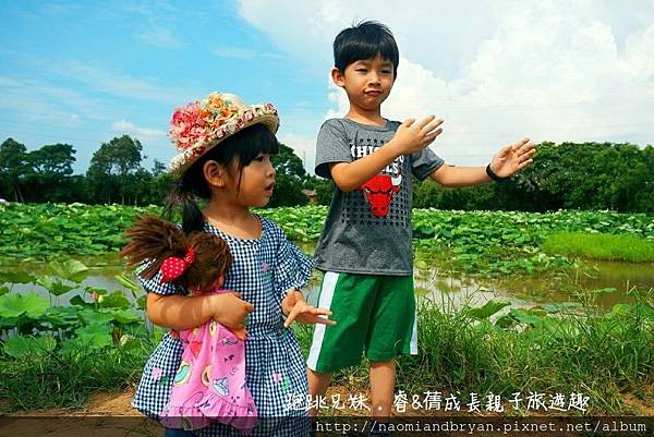 20170708桃園蓮花季_170710_0014.jpg