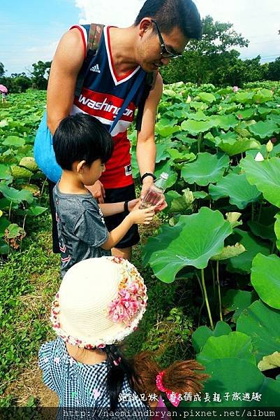 20170708桃園蓮花季_170710_0013.jpg