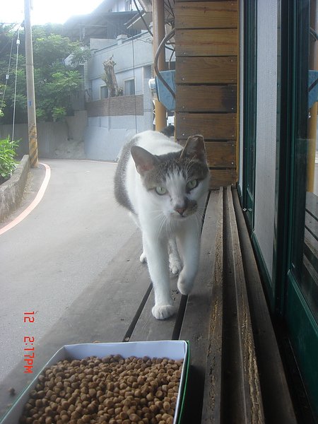 DSC00079.jpg