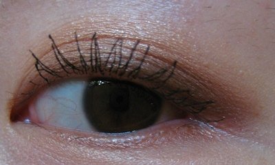 IMG_5421.JPG