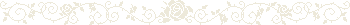 w-iron05s.gif
