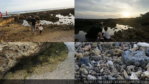 [親子旅遊] 屏東 萬里桐、海洋生物博物館、墾丁白沙灣海灘
