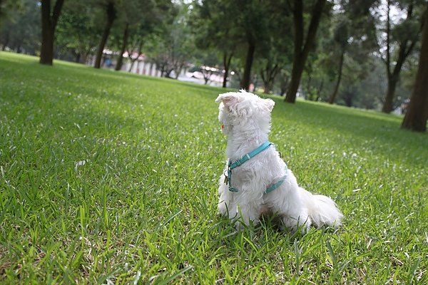 201007 296.jpg