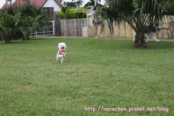 2anigif.gif