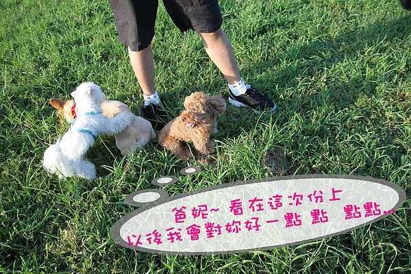 201007 621.jpg