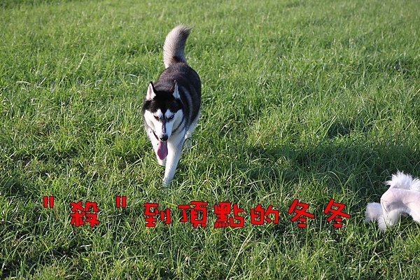 201007 565.jpg