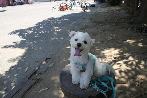 201007 504.jpg