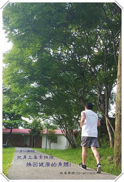 89617_meitu_6.jpg