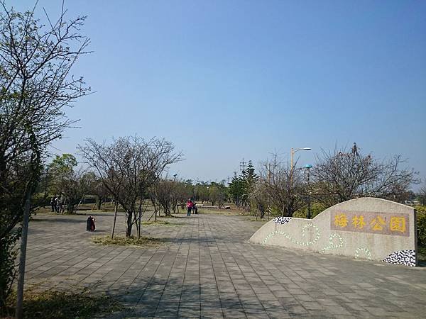 DSC_6598.jpg