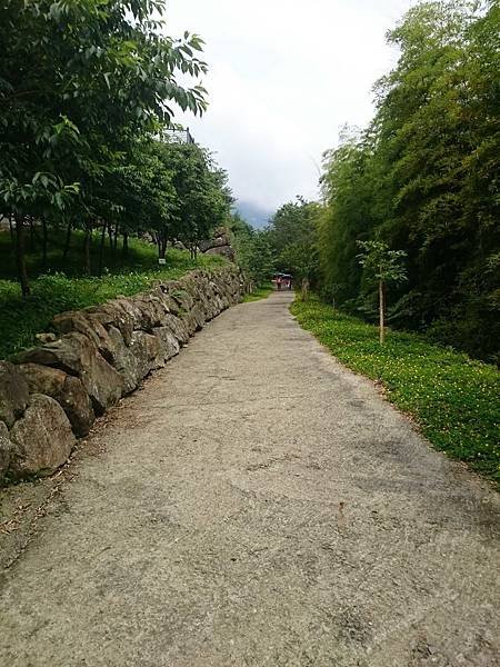 DSC_1198.jpg