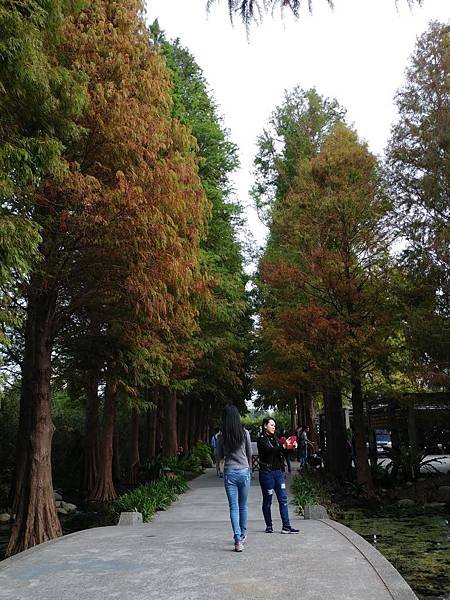 20161226_145006.jpg
