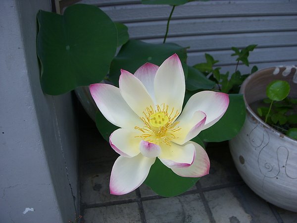 DSCN3615.JPG