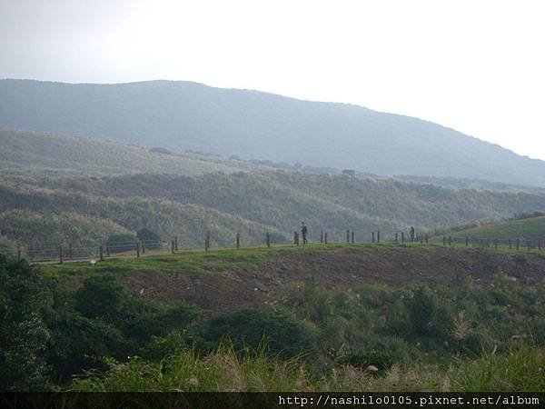 DSCN6398.JPG
