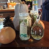 IMG_4941.jpg