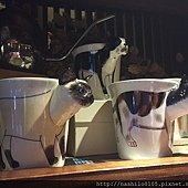 IMG_5019.jpg