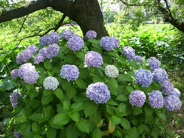 DSCN3387.JPG