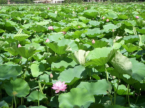 DSCN3385.JPG