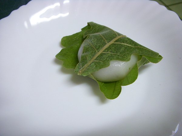 DSCN3119.JPG