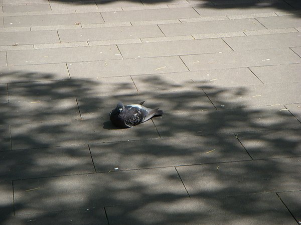 DSCN3382.JPG