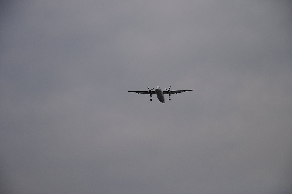 DSC_3177.JPG