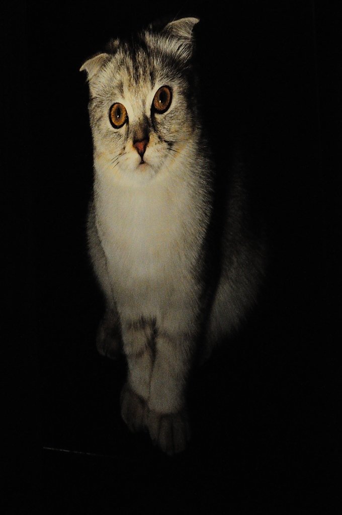 DSC_3431.JPG