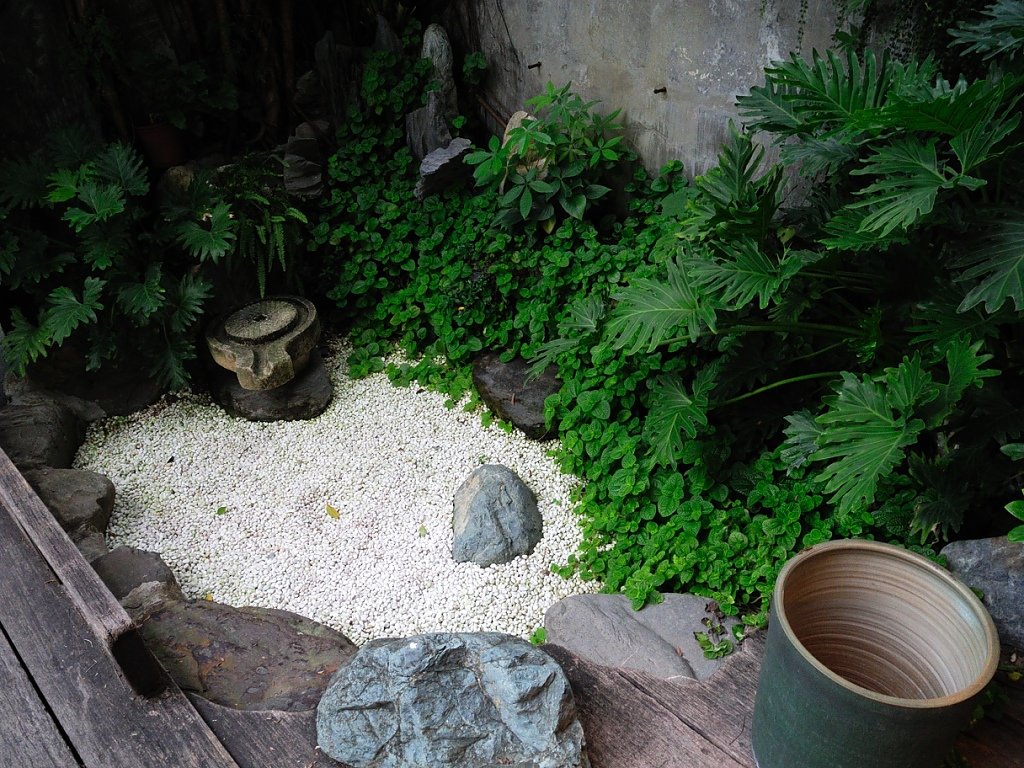 DSCN0314.JPG