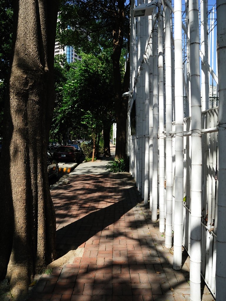 DSCN0033.JPG