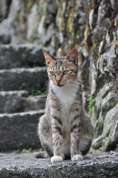 DSC_9446.JPG