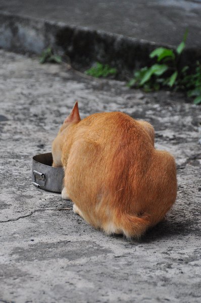 DSC_9475.JPG