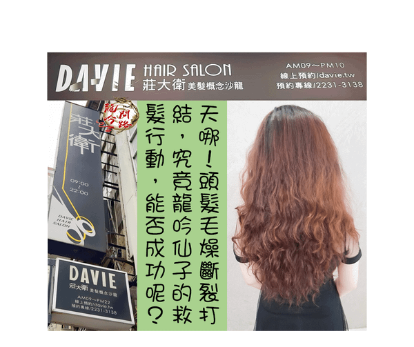 莊大衛美髮概念沙龍DAVIE HAIR SALON | 完美打造屬於妳心目中的絕美髮型 | 親民的價格最高檔的享受.png