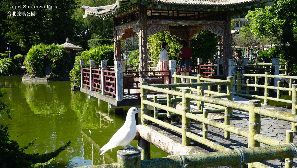 台北雙溪公園風景照｜虎年祝福｜賀歲片《燕無歇》破億神曲～問路家族 年度鉅獻｜中國風舞蹈,流行音樂舞蹈,虎年春聯,虎年吉祥話創意.png