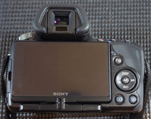SONY a33-3.JPG