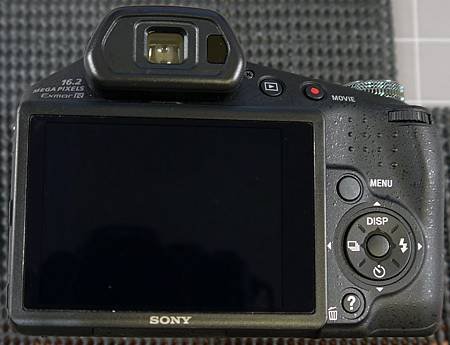 SONY HX100V.JPG