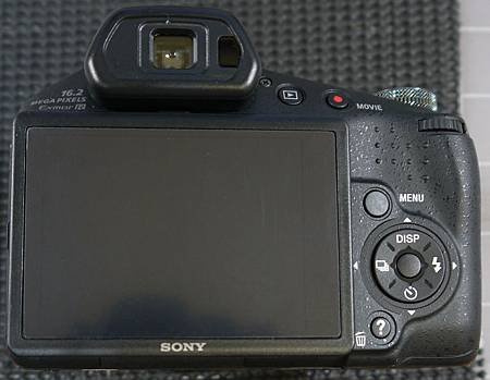 SONY HX100V-1.JPG