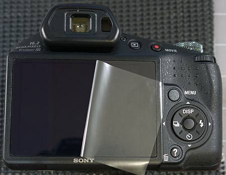 SONY HX100V-2.JPG