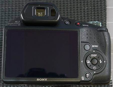 SONY HX100V-3.JPG