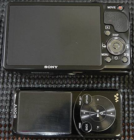 SONY HX9V-3.JPG