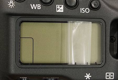 canon 1Dx-10.JPG