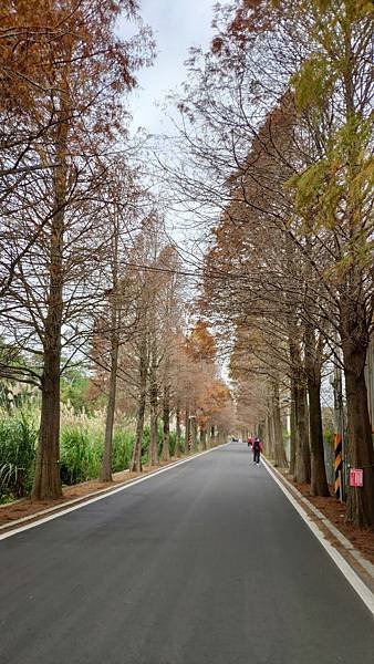 IMG_20230109_100912.jpg
