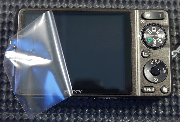 P1050642.JPG