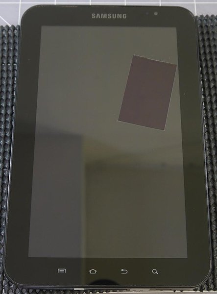 P1140003.JPG