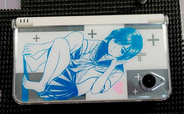 NDS iLL-1.JPG