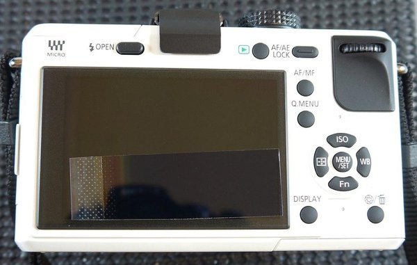 Panasonic GF1-42.JPG