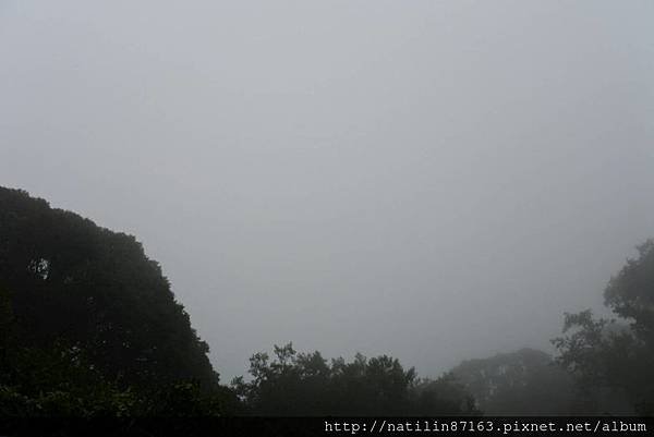 38216.jpg
