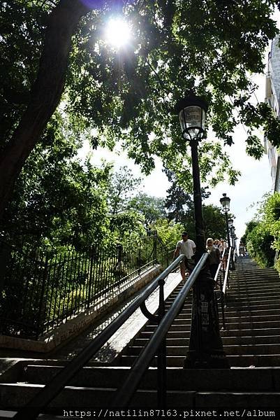 41800.jpg