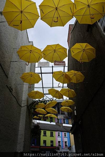 45501.jpg