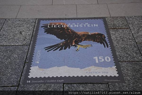 2690.jpg