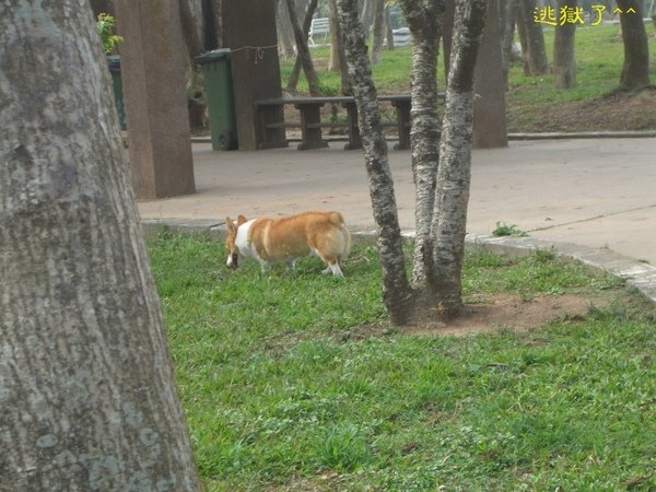 CIMG0119.jpg